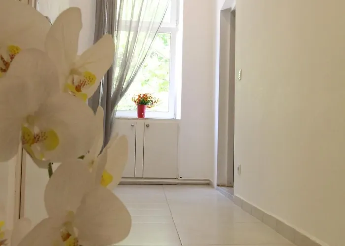 Accommodatie bij particulieren Cozy In Pragerstrasse Wenen